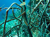 Curacao 04-12 183